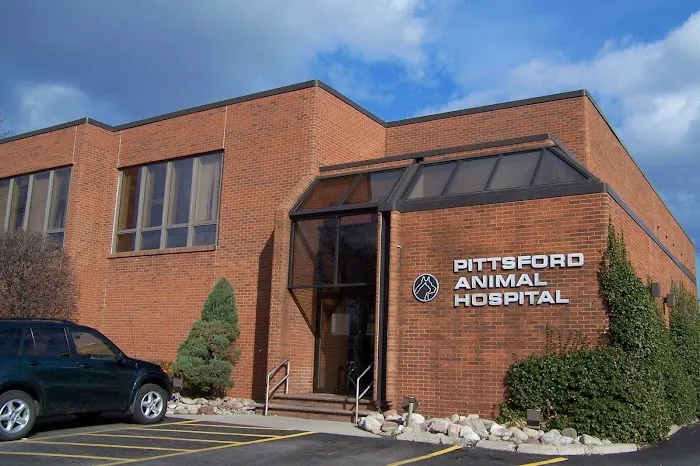 Pittsford Animal Hospital (of Pittsford) 6