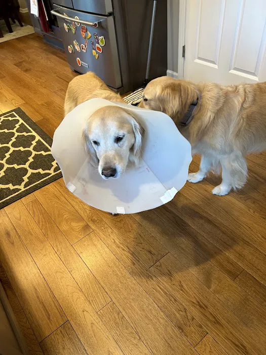 Suburban Animal Hospital 1