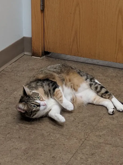 Suburban Animal Hospital 3