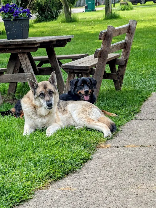 Suburban Animal Hospital 4