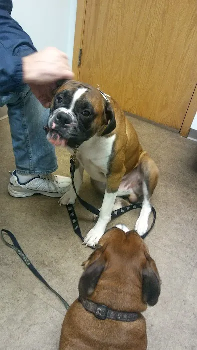 Suburban Animal Hospital 7