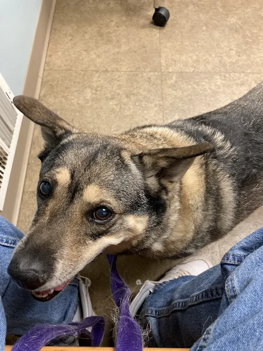 Suburban Animal Hospital 2