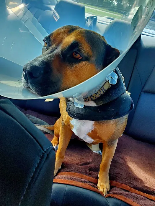 Grand Strand Animal Hospital 6