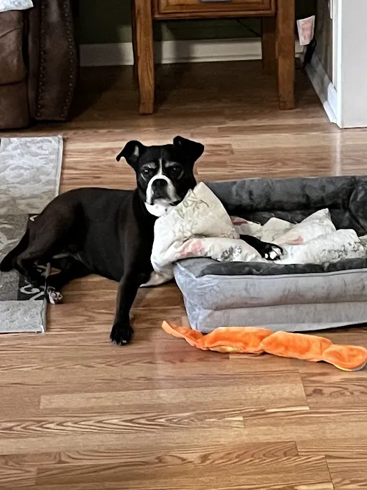 Grand Strand Animal Hospital 4