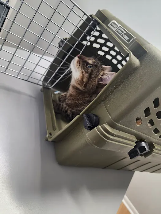 Grand Strand Animal Hospital 2