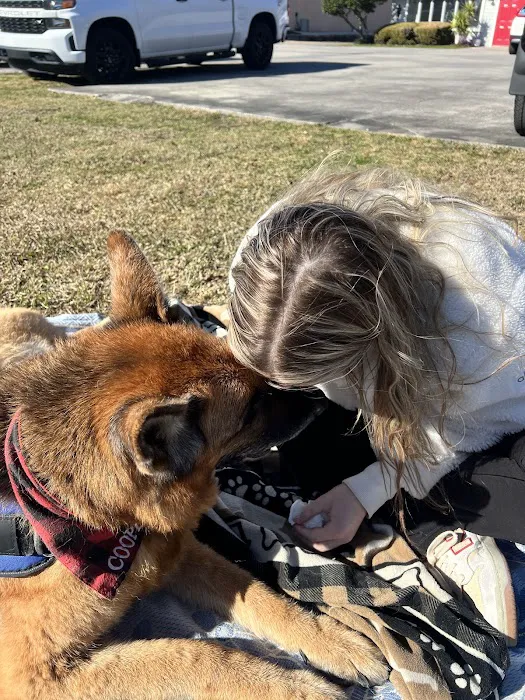 Grand Strand Animal Hospital 7