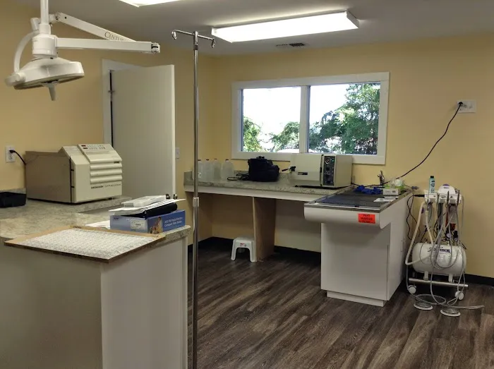 Veterinary Clinic of Myrtle Beach 7