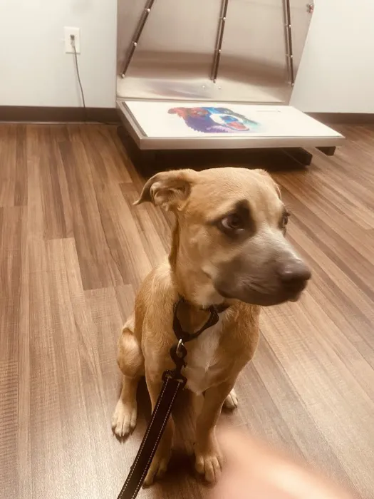 Veterinary Clinic of Myrtle Beach 5