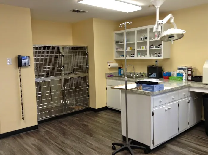 Veterinary Clinic of Myrtle Beach 8