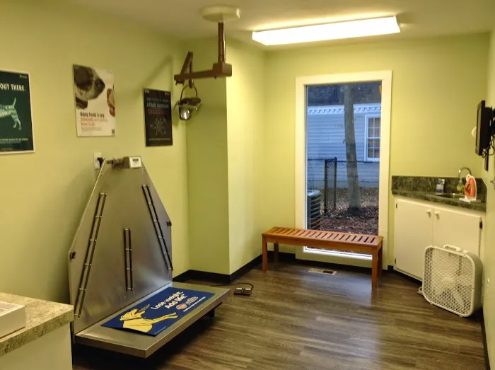 Veterinary Clinic of Myrtle Beach 4