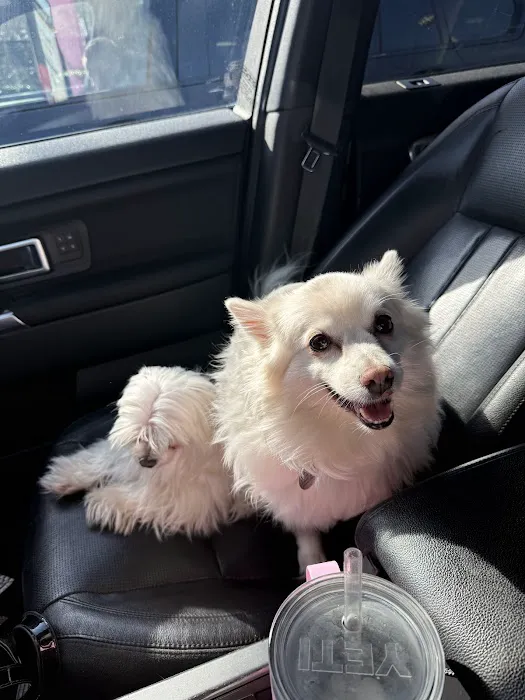 Myrtle Beach Animal Hospital 4