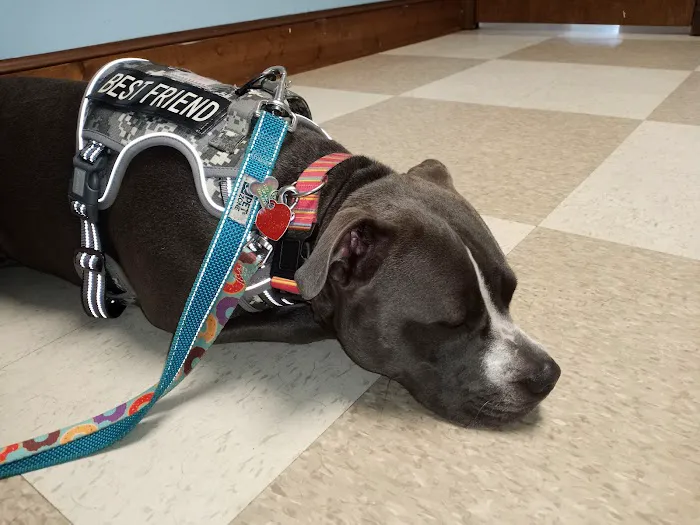 Myrtle Beach Animal Hospital 8