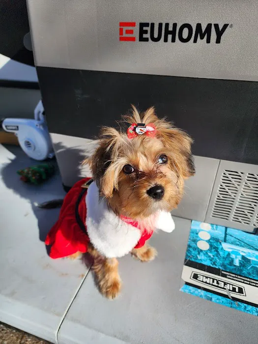 Myrtle Beach Animal Hospital 5