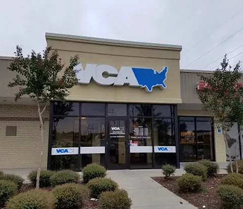 VCA Palmetto Animal Hospital 6