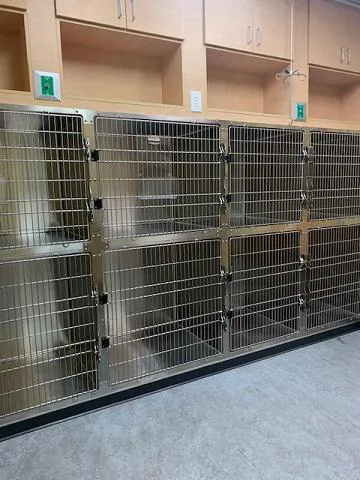 VCA Palmetto Animal Hospital 7
