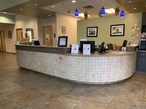 VCA Palmetto Animal Hospital 4