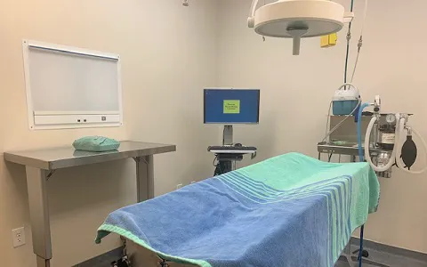 VCA Palmetto Animal Hospital 5