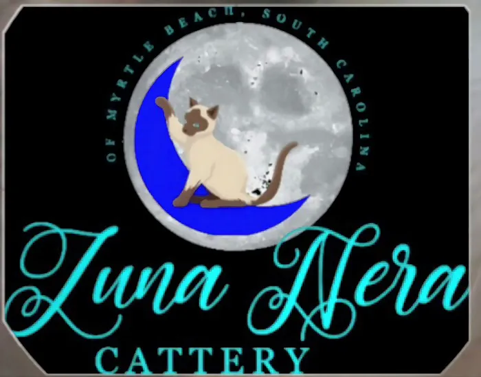 Luna Nera Cattery 3