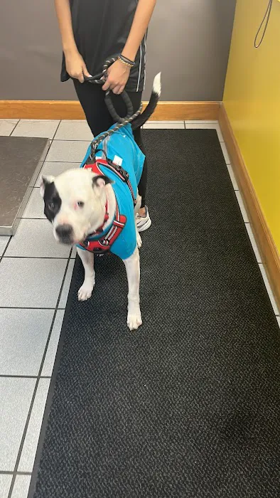 Meadowlawn Animal Services 5