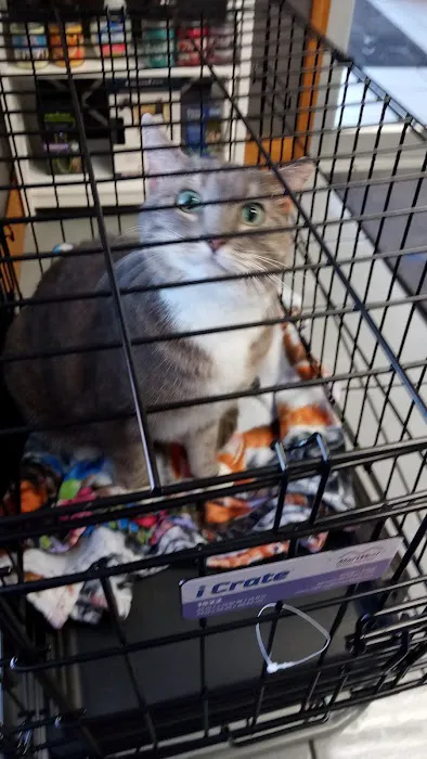 Meadowlawn Animal Services 3