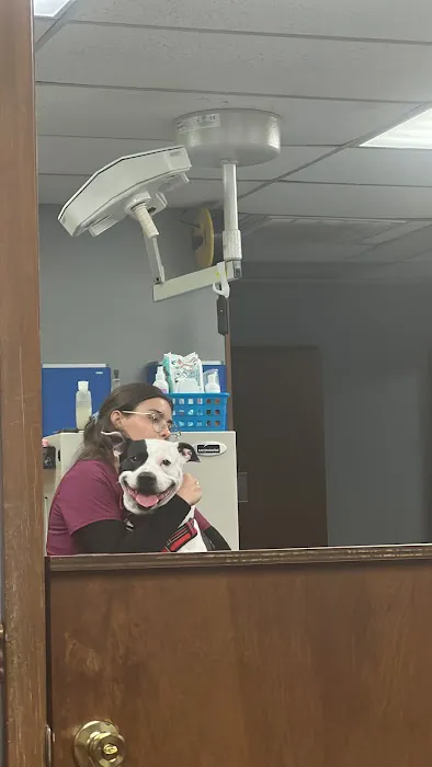 Meadowlawn Animal Services 1