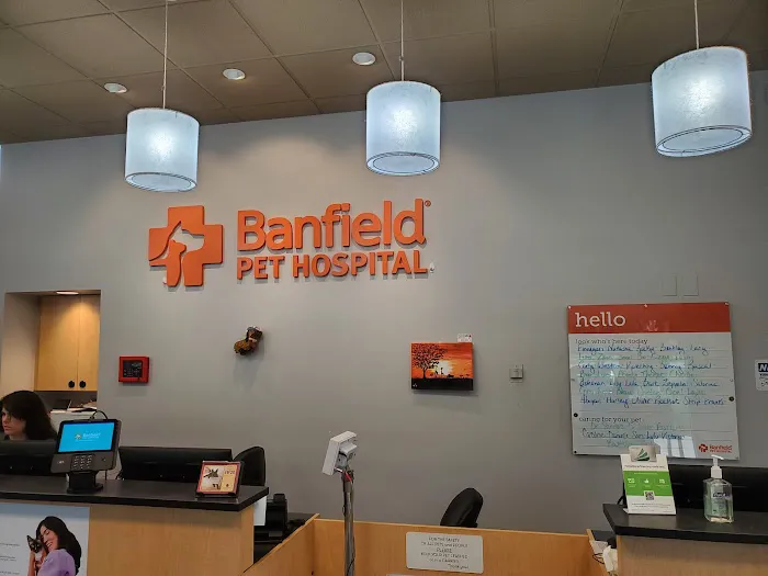 Banfield Pet Hospital 1