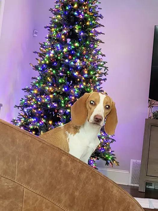 Banfield Pet Hospital 7