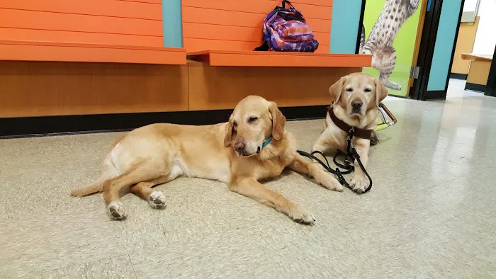 Banfield Pet Hospital 4