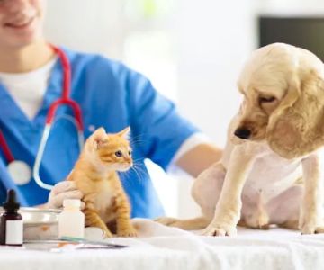 South Robeson Veterinary Clinic