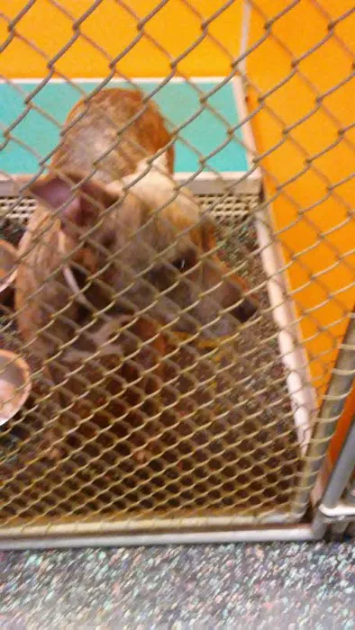 South Robeson Veterinary Clinic 4