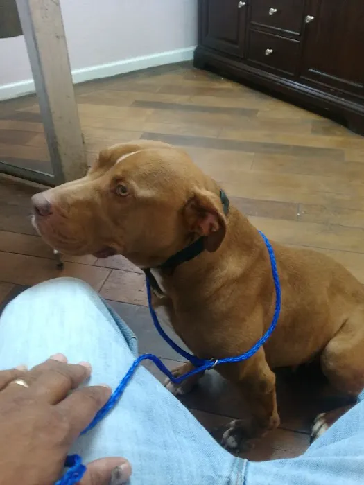 South Robeson Veterinary Clinic 7