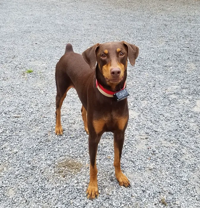 Mullins Veterinary Hospital 3