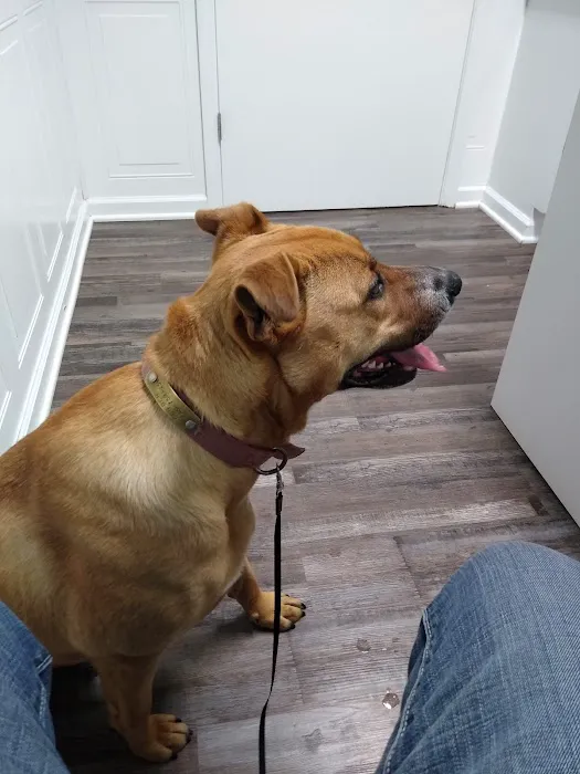 Mullins Veterinary Hospital 6