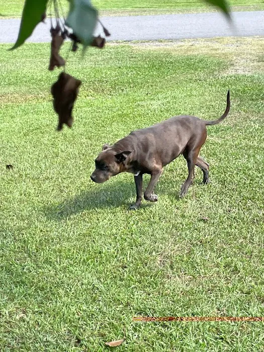Bladen Animal Hospital 7