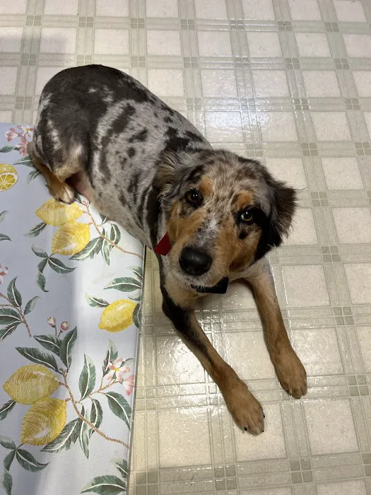 Bladen Animal Hospital 10