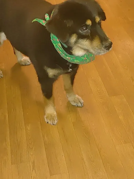Bladen Animal Hospital 8