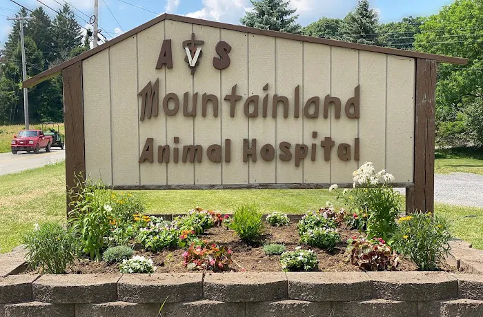 AVS Mountainland Animal Hospital 9