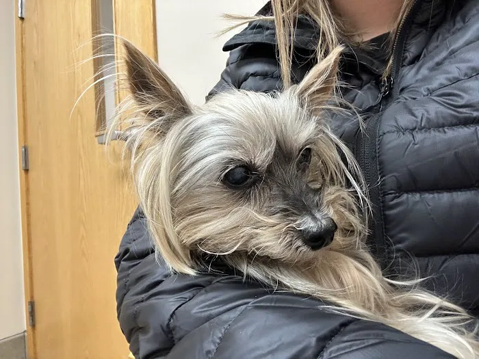 Hillside Animal Hospital 7