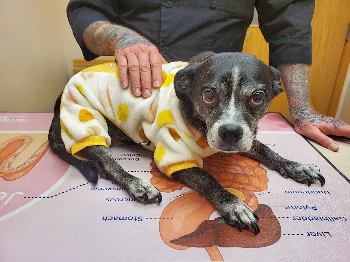 Hillside Animal Hospital 5