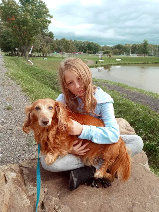 Hillside Animal Hospital 8