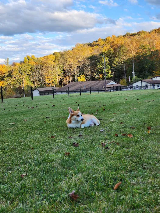 Hillside Animal Hospital 1