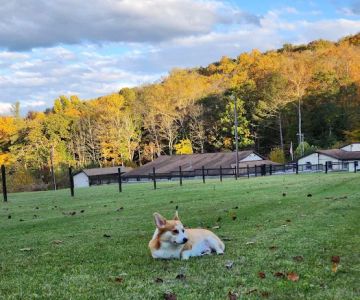 Hillside Animal Hospital