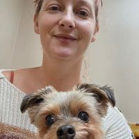 LaVale Veterinary Hospital ico