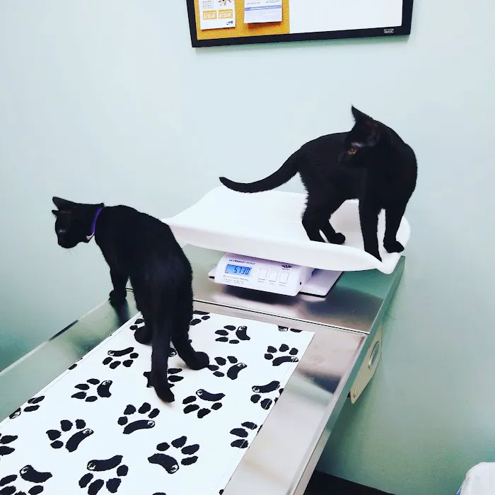 North Branch Animal Hospital 6