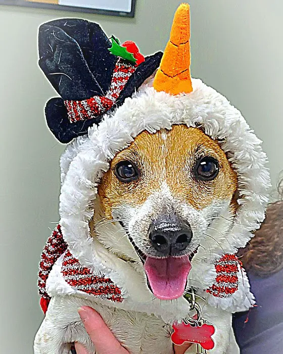 North Branch Animal Hospital 9