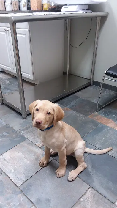 North Branch Animal Hospital 4