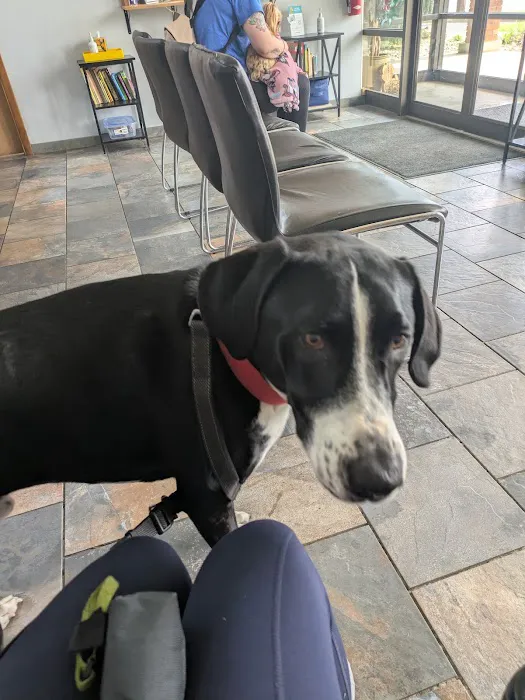 North Branch Animal Hospital 7