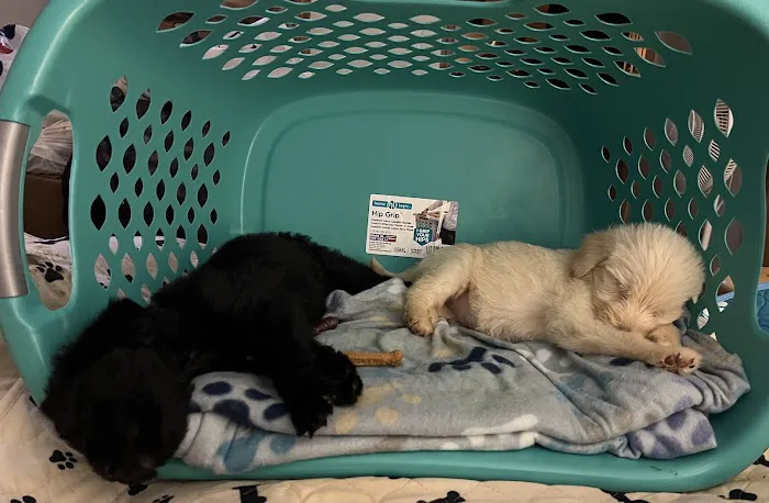 Hi-Rock Animal Hospital 3