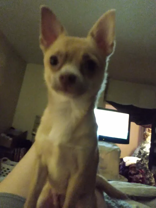 Hi-Rock Animal Hospital 6