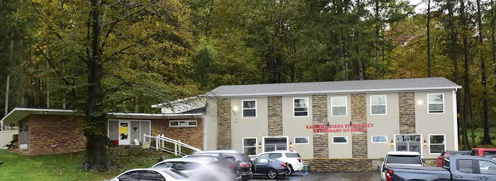 Kalyani Indiana Emergency Veterinary Hospital 1
